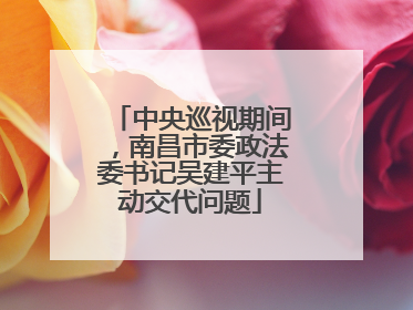中央巡视期间，南昌市委政法委书记吴建平主动交代问题